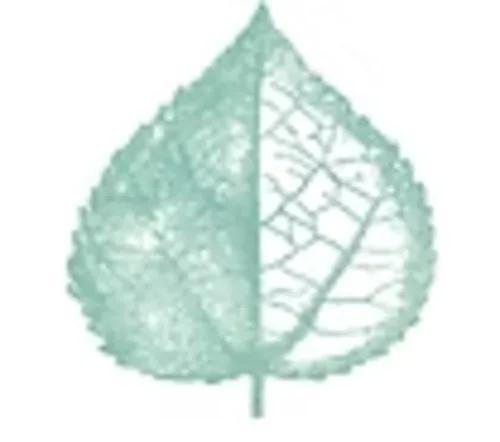 Aspen Day Treatment logo
