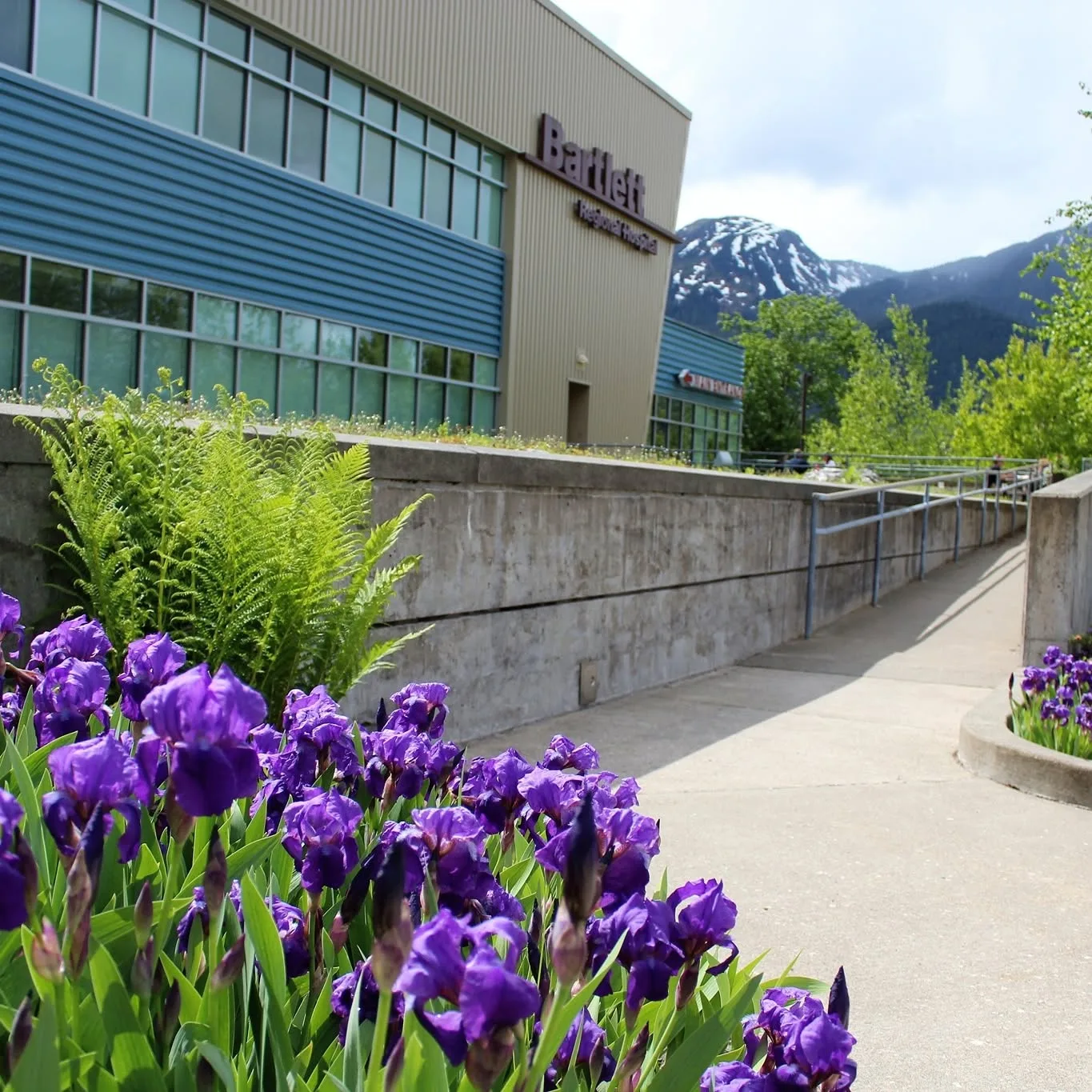 Bartlett Regional Hospital Mental Health Unit logo