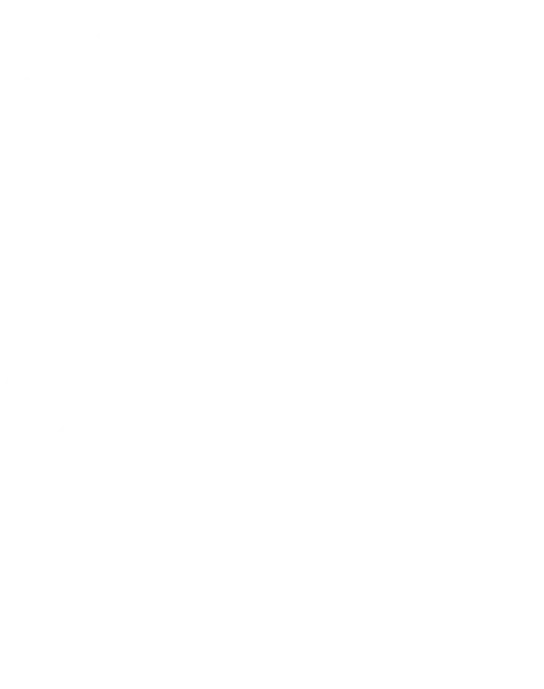 Bonnie Mucklow Families at Five logo