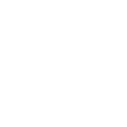 Hightower Behavioral Health logo