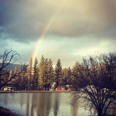 Mountain Valley Child and Family Services Sacramento logo