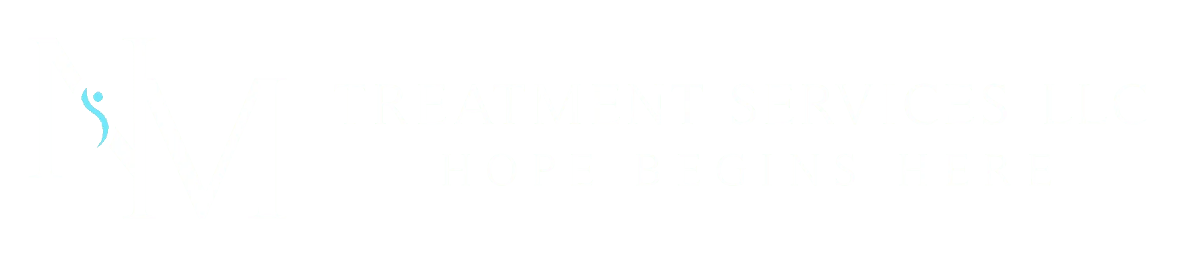 New Mexico Treatment Services logo