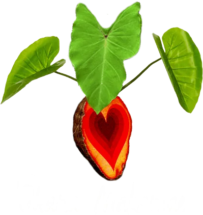 Ohana Makamae logo