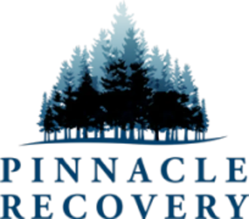 Pinnacle Recovery logo