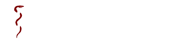South Texas Rural Health Services Substance Abuse Program logo