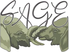 Substance Abuse Guidance and Education (SAGE) Waco logo