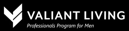 Valiant Living Professionals Program For Men logo